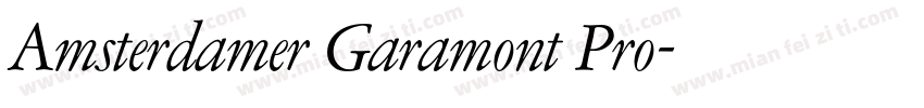 Amsterdamer Garamont Pro字体转换